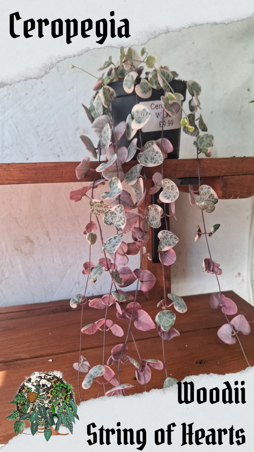 String of Hearts